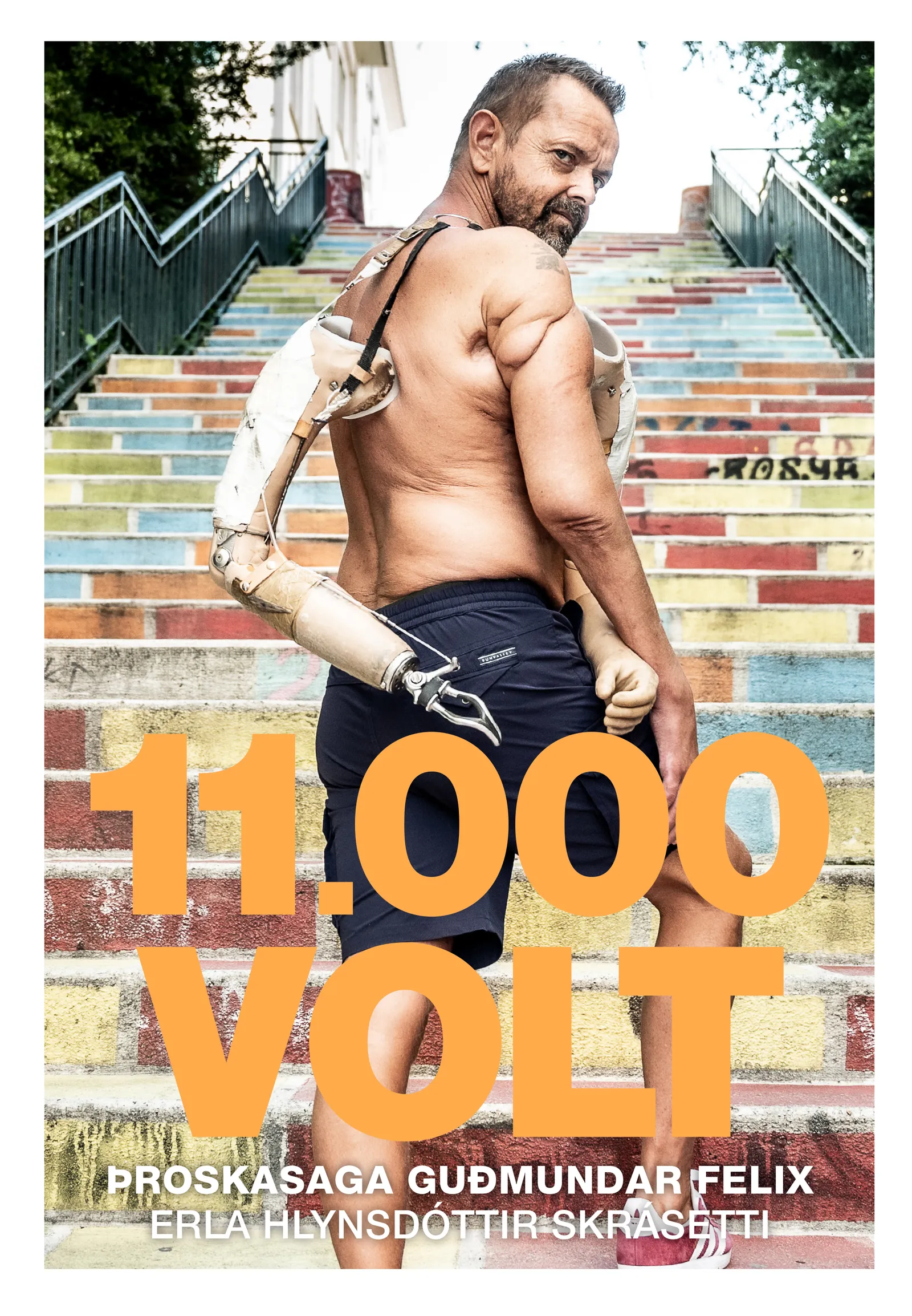 Forsíða kápu bókarinnar