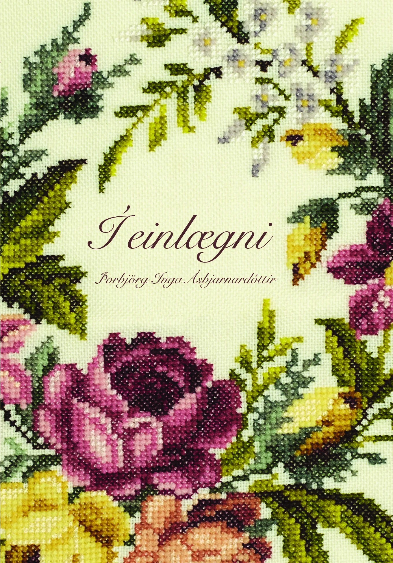 Forsíða kápu bókarinnar