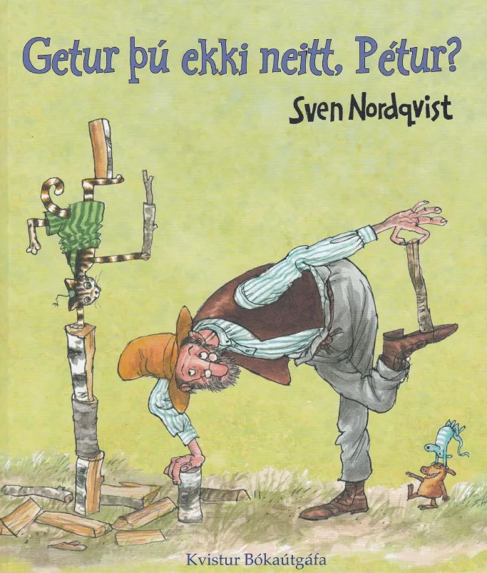 Forsíða kápu bókarinnar