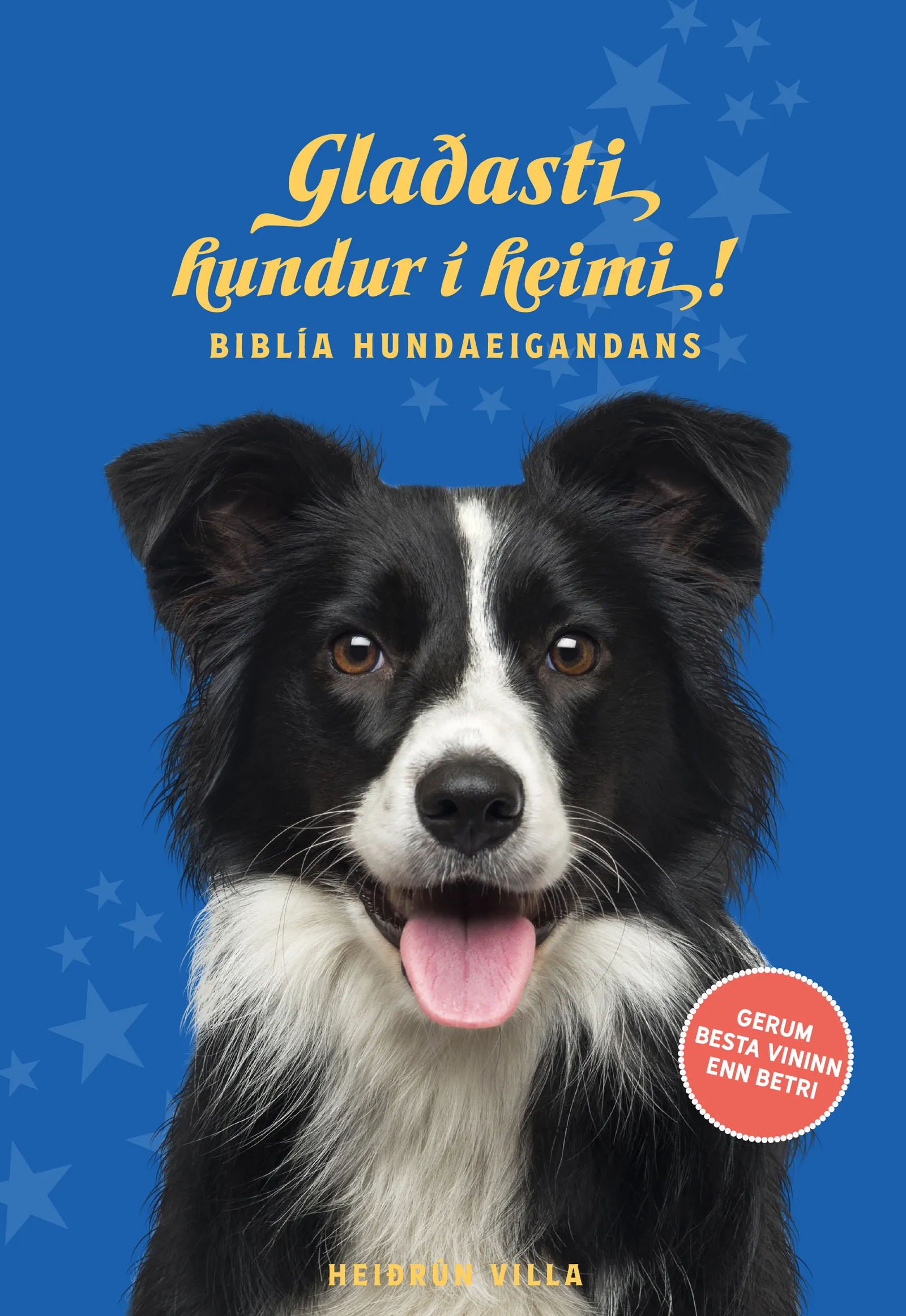 Forsíða kápu bókarinnar