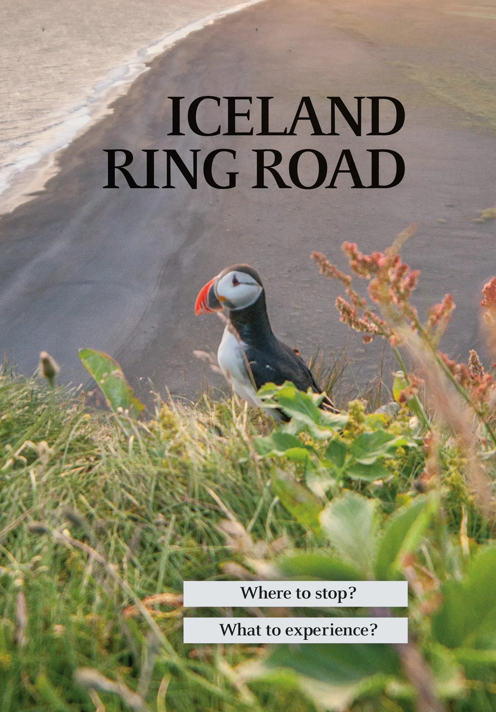 Bókakápa: Iceland Ring Road Where to stop? What to experience?