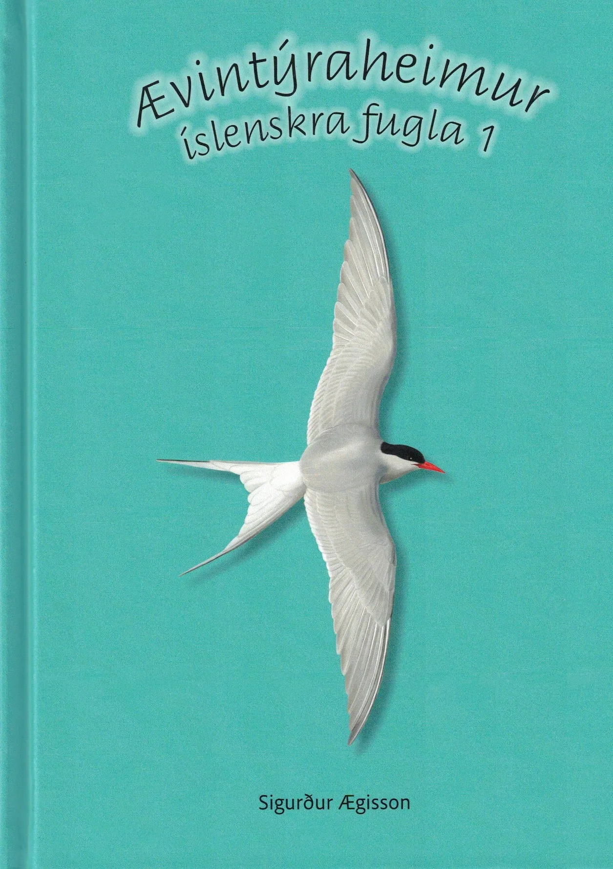 Bókakápa: Ævintýraheimur íslenskra fugla