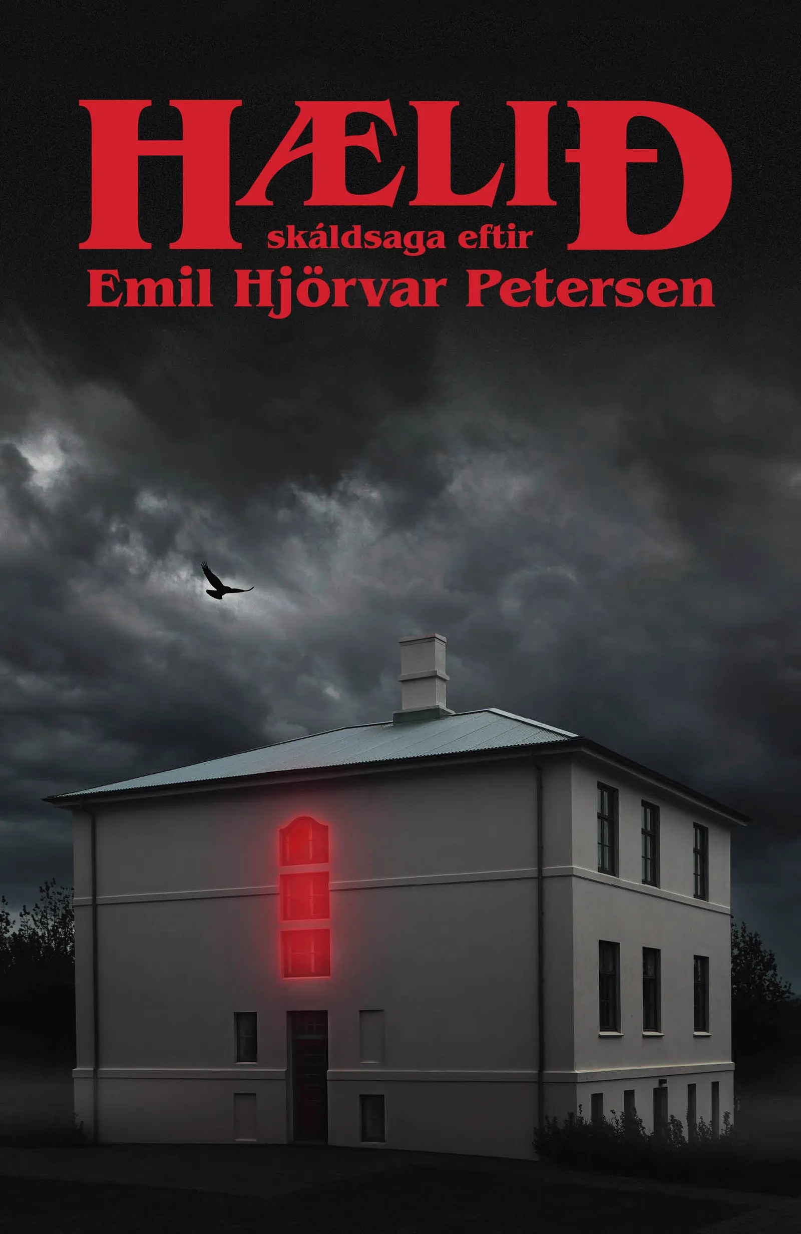 Forsíða kápu bókarinnar