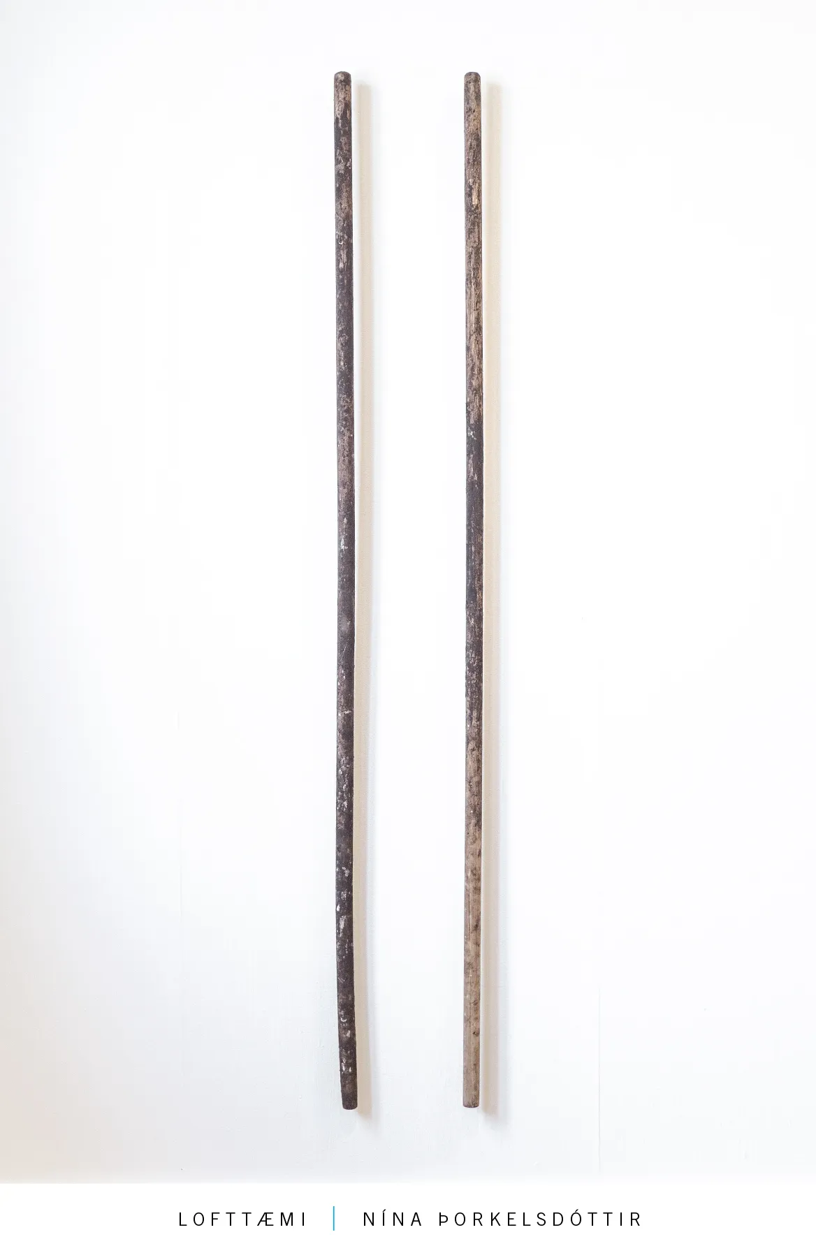 Forsíða kápu bókarinnar