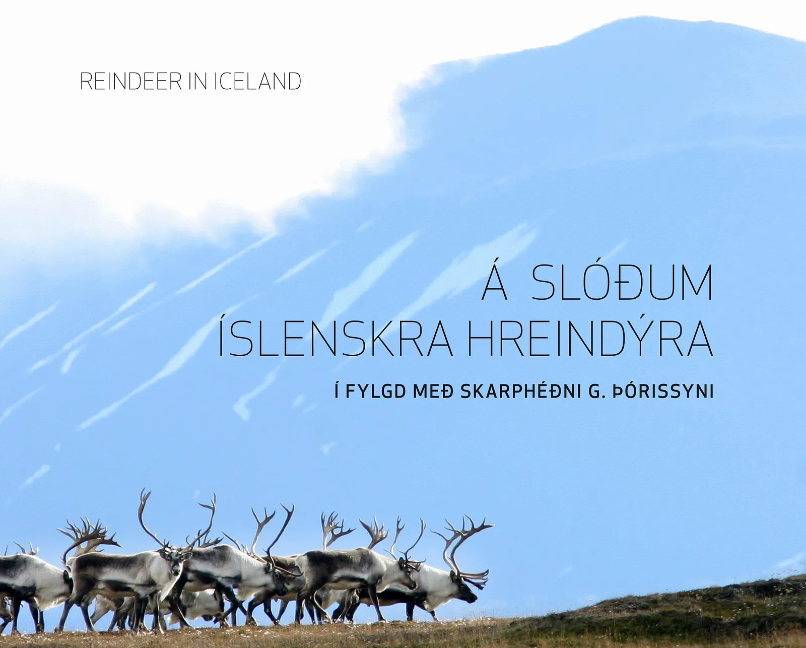 Forsíða kápu bókarinnar