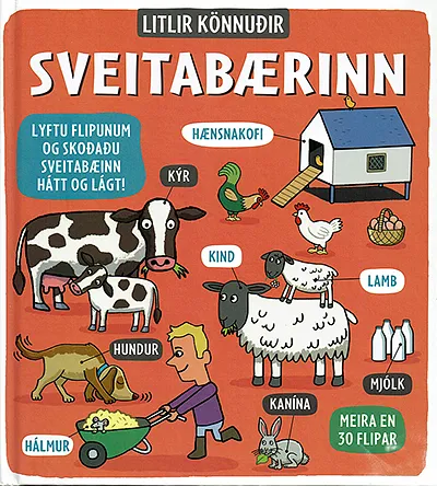 Forsíða kápu bókarinnar