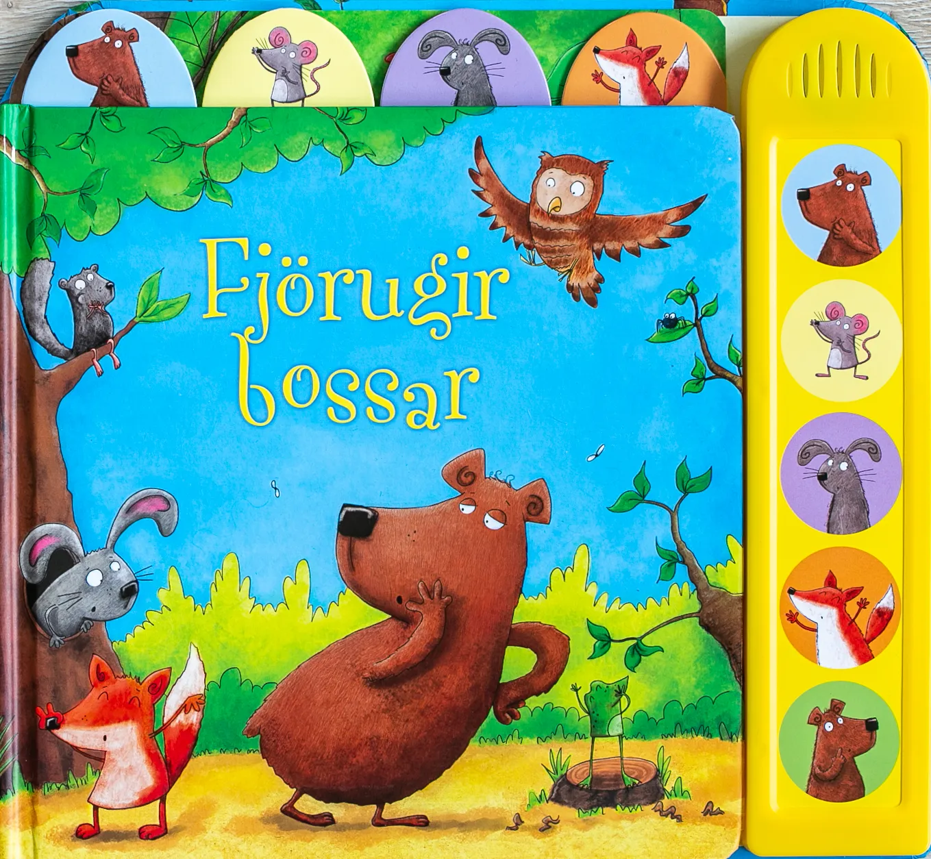 Forsíða kápu bókarinnar