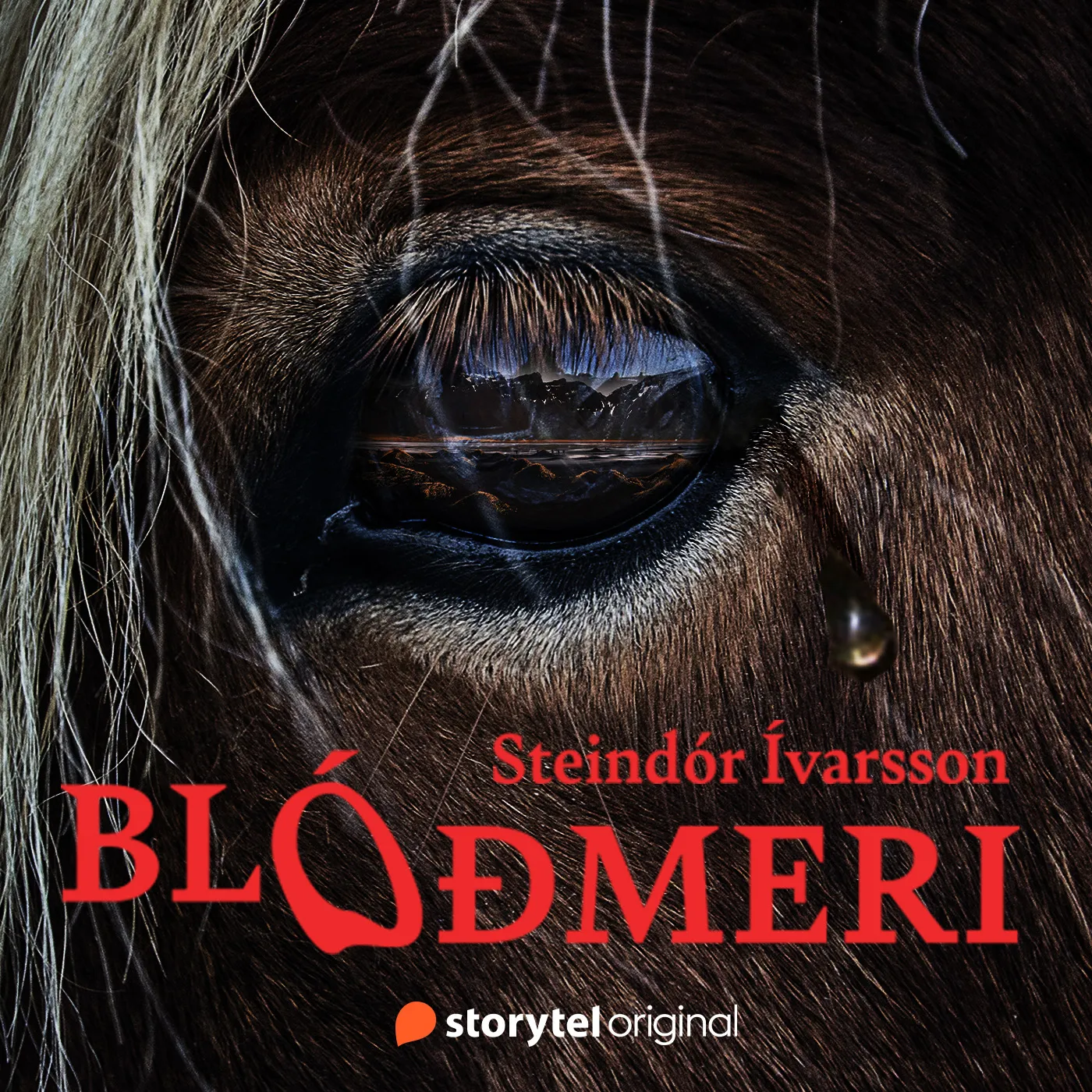 Forsíða kápu bókarinnar
